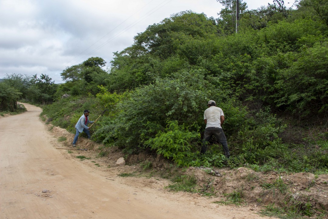 Prefeitura de Jaguarari inicia serviços de roçagem nas estradas vicinais e gera 30 empregos diretos