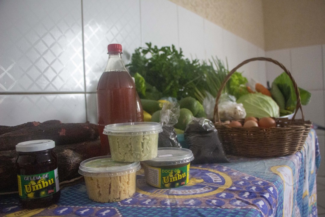 Jaguarari incentiva a agricultura familiar ao  aderir ao Programa de Aquisição de Alimentos