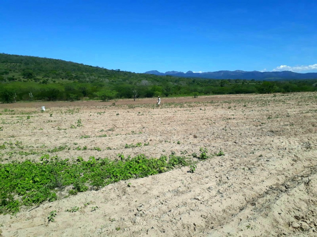 Programa de Aração de Terras continua  beneficiando centenas de agricultores de Jaguarari