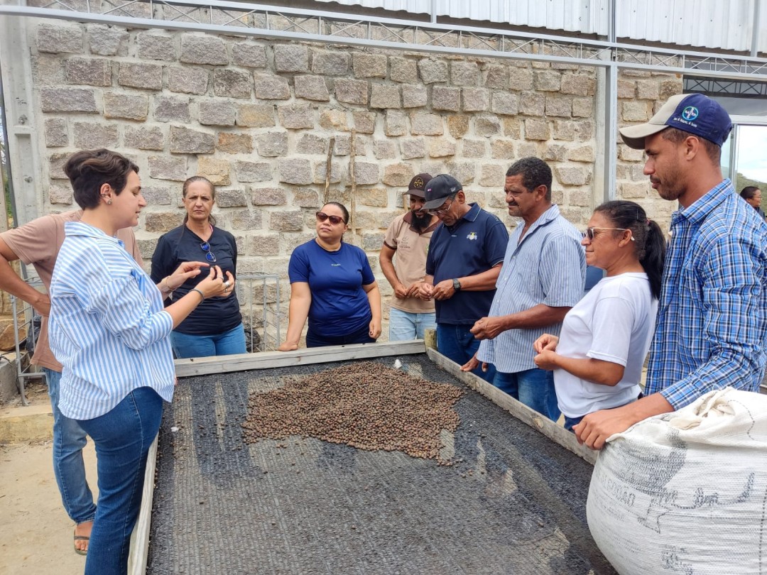 Produtores de cafés especiais de Jaguarari participam de curso voltado à colheita e à pós-colheita do fruto